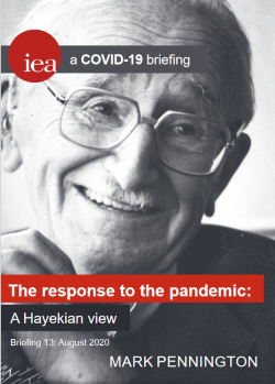 The response to the pandemic: A Hayekian view